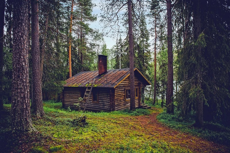 Digital Detox Retreat